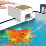 Smart WiFi Auto Fish Feeder with App Control LCD Display 100ml
