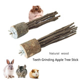 Natural Apple Wood Perch — Chew-Safe Branch Stand for Birds & Small Pets