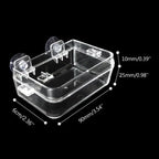 Anti-Escape Reptile Feeder Bowl — Clear Food & Water Dish for Small Reptiles