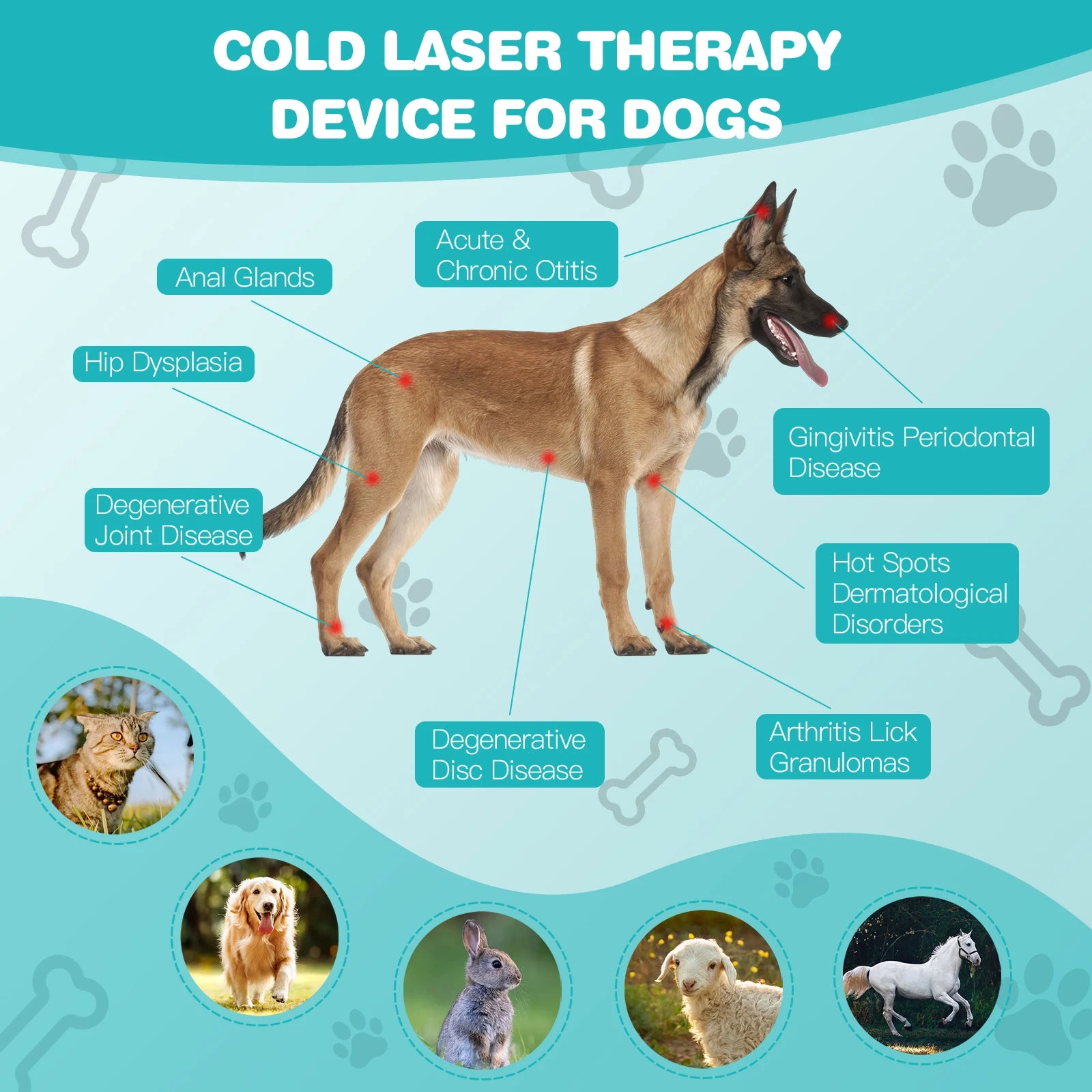 Portable Red Light Laser Therapy Device for Pets