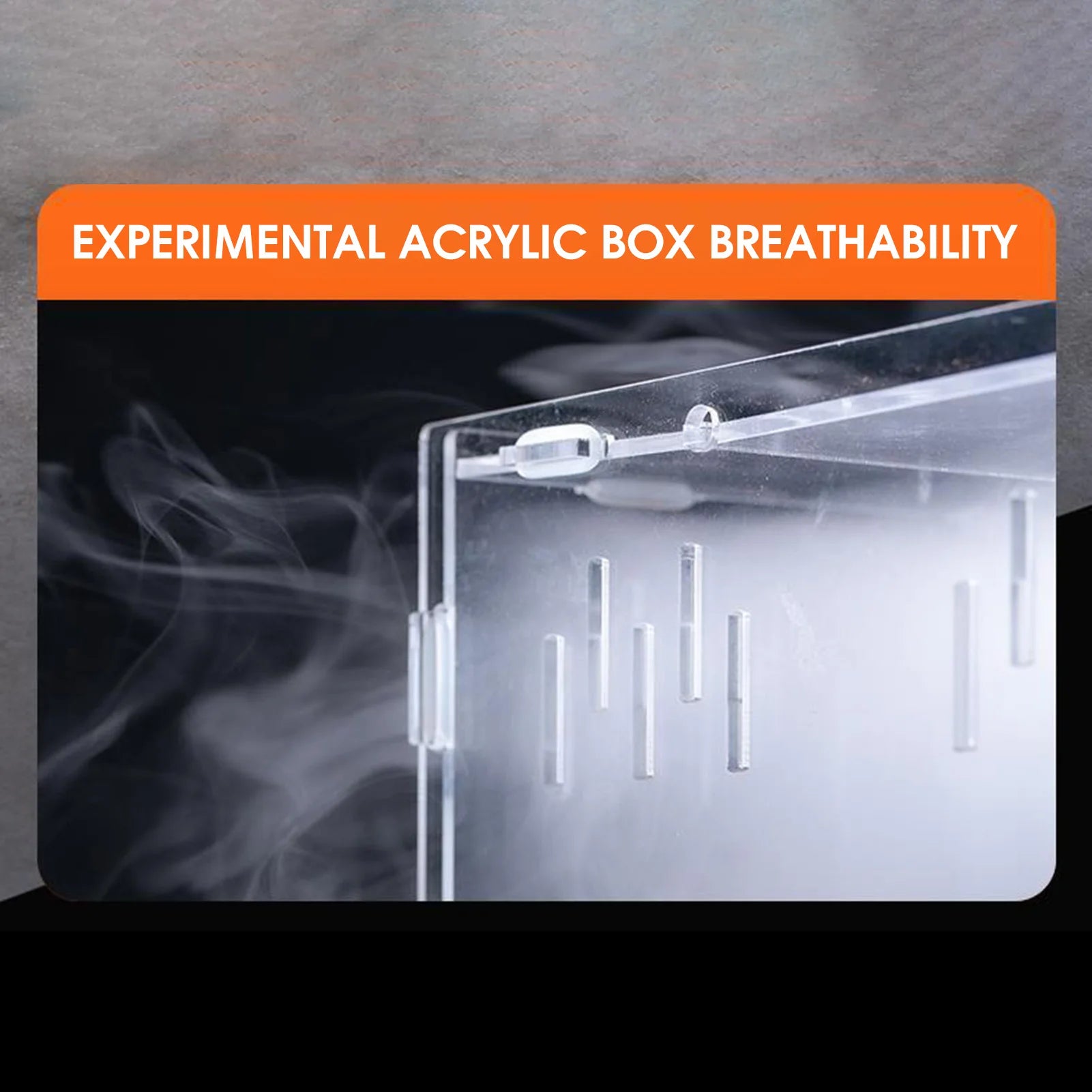 Stackable Acrylic Reptile Feeding Box — Buckle-Splicing Habitat for Small Pets