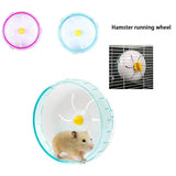Silent Hamster Running Wheel — Wide-Track Acrylic Exercise Disc
