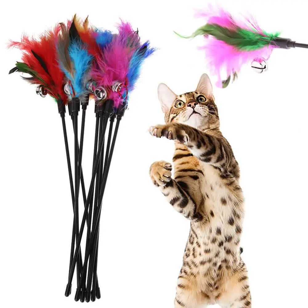 Feather & Bell Cat Teaser Wand (5-Pack)