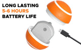 Interactive Smart Pet Ball