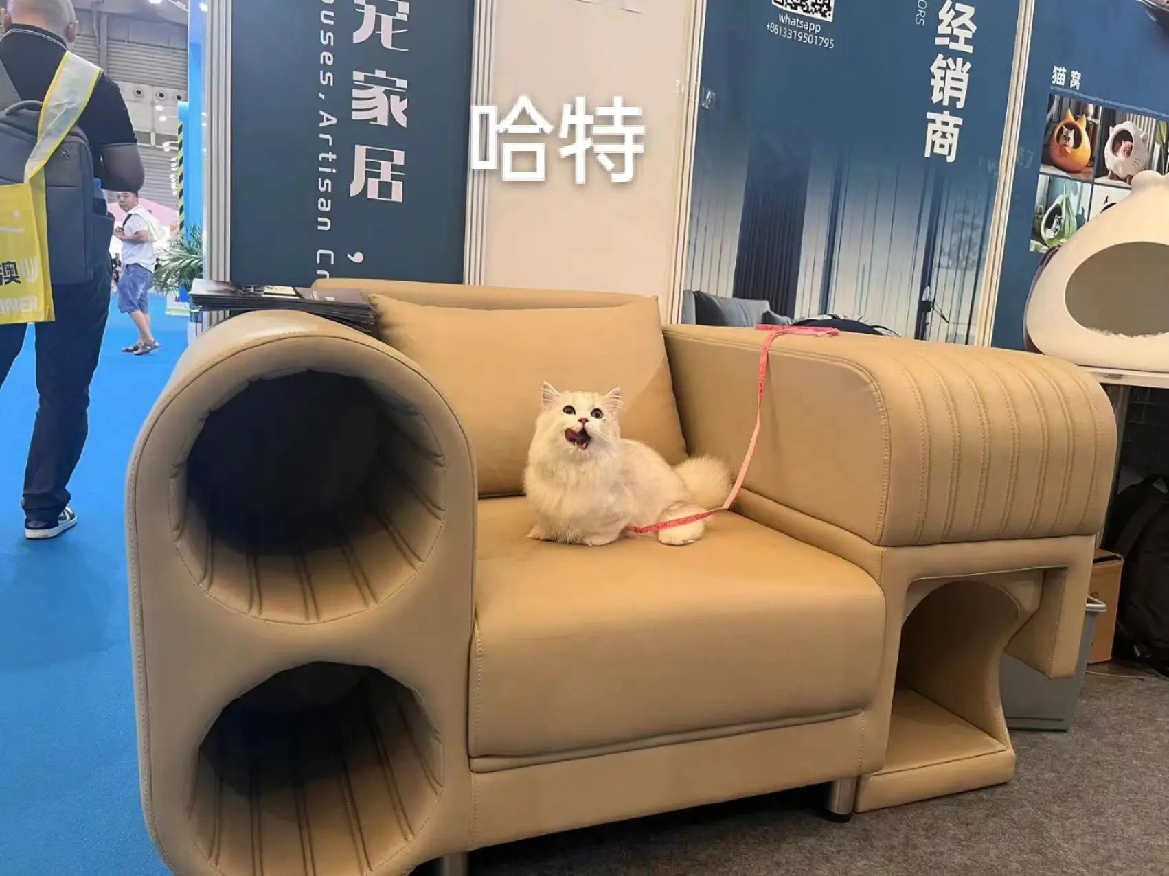 Modern Pet Sofa Bed & House Furniture