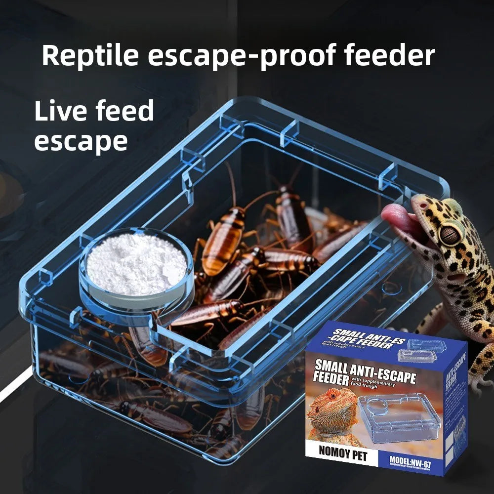 Anti-Overturn Reptile Feeding Bowl — Clear Escape-Proof Insect Dish
