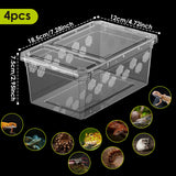 Portable Reptile Breeding & Transport Box — Set of 4 for Lizards, Snakes & Spiders
