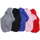Warm Rabbit Sweater — Cozy Two-Leg Pet Clothing