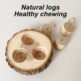 Wooden Foraging Chew Toy — Round Enrichment Toy for Small Pets & Birds