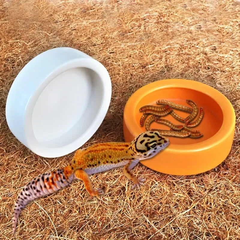 Ceramic Reptile Feeder Bowl — Decorative Food & Water Dish