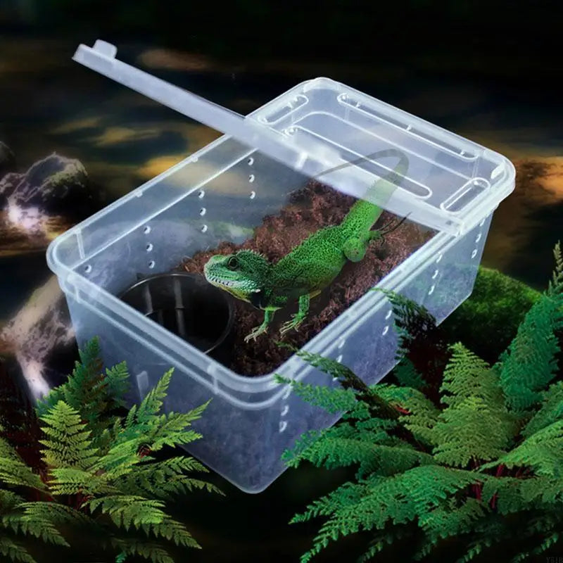 Portable Mini Terrarium Habitat — Transparent Travel Box for Small Reptiles & Insects