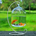 Hanging Glass Fish Bowl Vase (Round & Rectangle, Wall-Mounted)