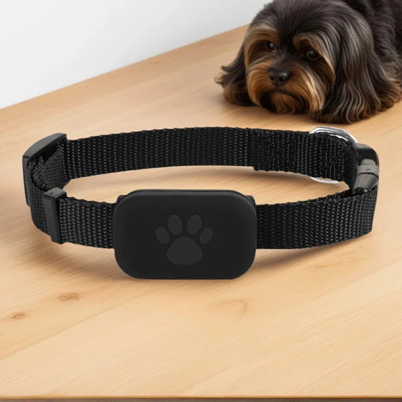 Waterproof Remote GPS Pet Tracker with Collar - iOS & Android