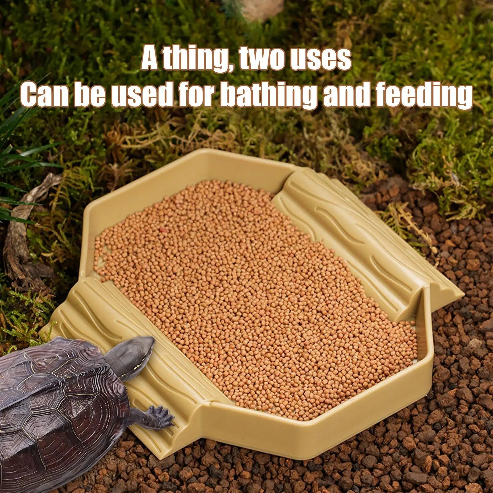 2-in-1 Anti-Slip Tortoise Water Dish — Bathing & Feeding Bowl with Ramp