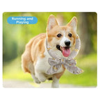 Printed Dog Cooling Ice Scarf 2-Pack (Breathable Towel, Fast-Cooling)