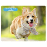 Printed Dog Cooling Ice Scarf 2-Pack (Breathable Towel, Fast-Cooling)