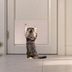 Self-Adhesive Cat Scratch Mat — Trimmable Furniture Protector, 2-Pack