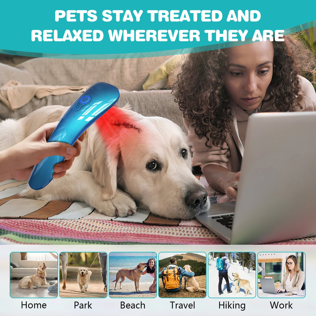 Portable Red Light Laser Therapy Device for Pets