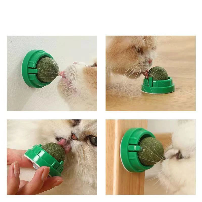 Catnip & Cat Grass Wall-Mount Lick Ball Toy — Stick-On Scratcher & Digestive Treat