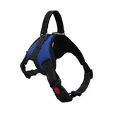 Adjustable Dog Harness & 150cm Leash Set — Reflective Design