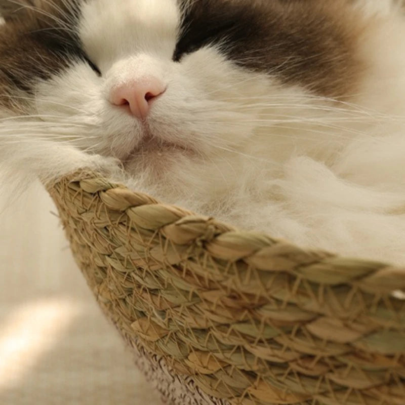 Portable Rattan & Seagrass Cat Bed Nest, All-Season