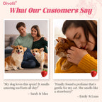 Strawberry Pet Perfume Spray — Long-Lasting, Gentle Daily Fragrance