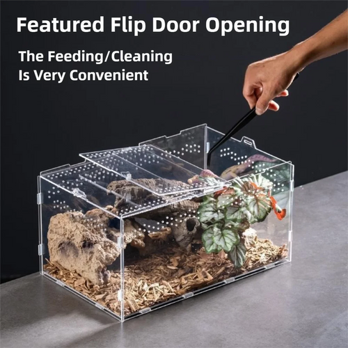 Clear Acrylic Reptile Habitat — Anti-Escape Breeding Box for Chameleons & Spiders