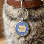 Metal NFC Pet ID Pendant with Smart Touch-to-Find Technology