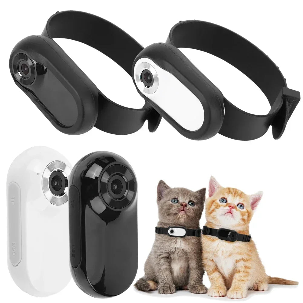 HD 1080P Pet Collar Camera - No WiFi Video Recording Tracker for Dogs & Cats