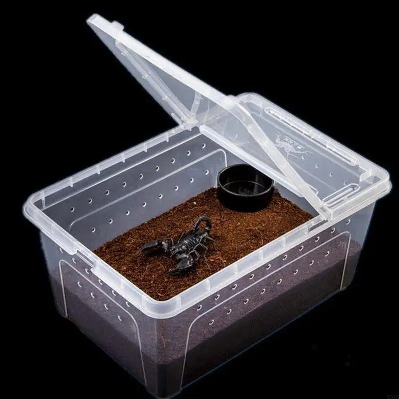 Portable Mini Terrarium Habitat — Transparent Travel Box for Small Reptiles & Insects