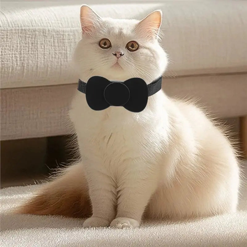 B62B Smart GPS Pet Tracker Collar with Waterproof Anti-Loss Positioning - iOS & Android