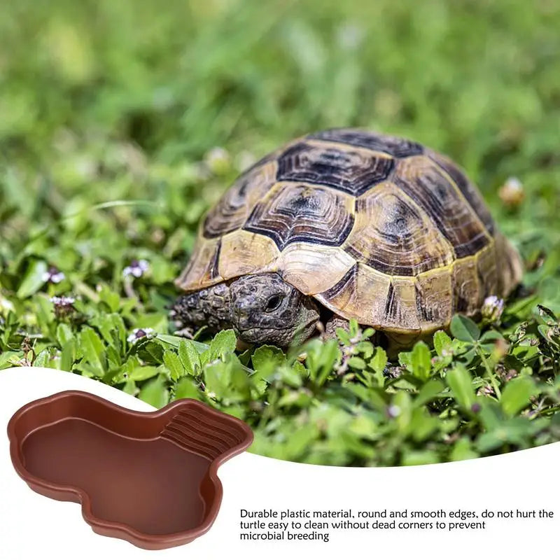 Turtle Basking Ramp & Water Dish — River-Style Bathing Pool with Ladder