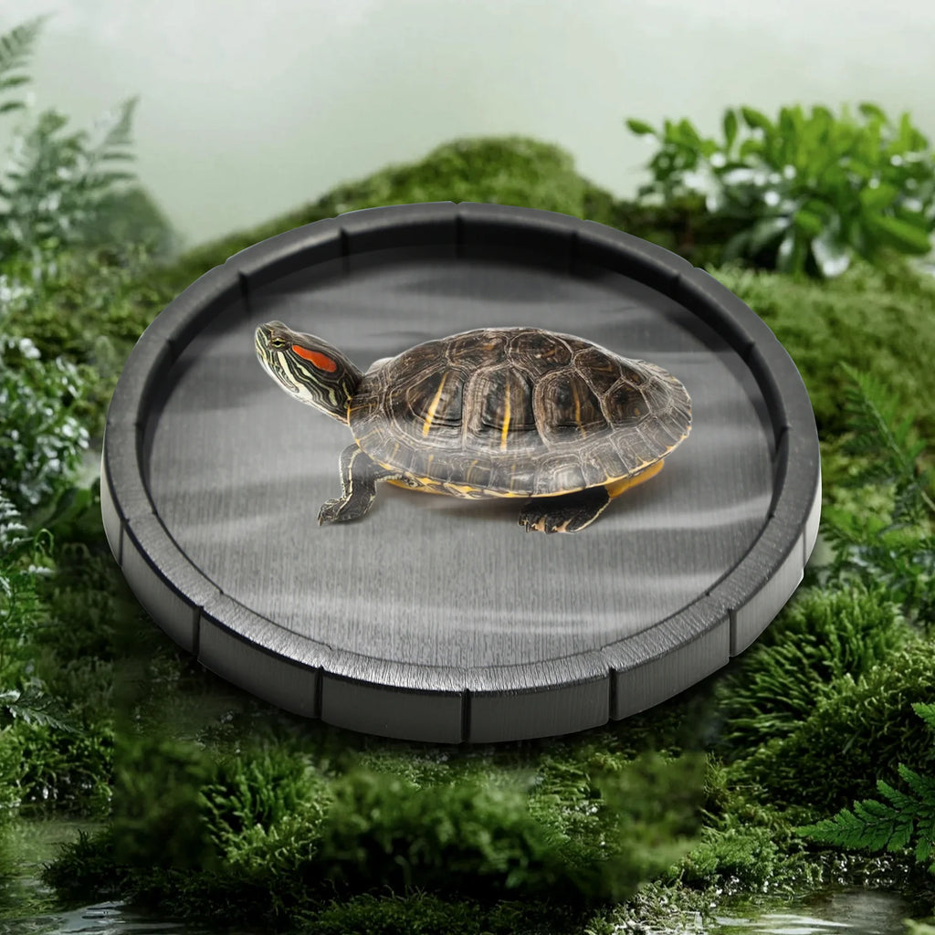 Black Plastic Reptile Feeding & Bath Basin — Round or Hexagon