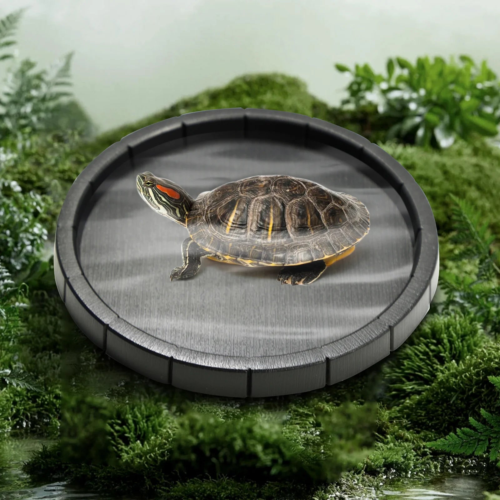 Black Plastic Reptile Feeding & Bath Basin — Round or Hexagon