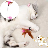 Feather Teaser Wand with Bell & Collar — Interactive Cat Training Set