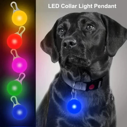 LED Glow Pet Collar Pendant — Bright Night Safety Light