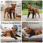 Elastic Dog Leg Protector Sleeve (Breathable, Joint Support)