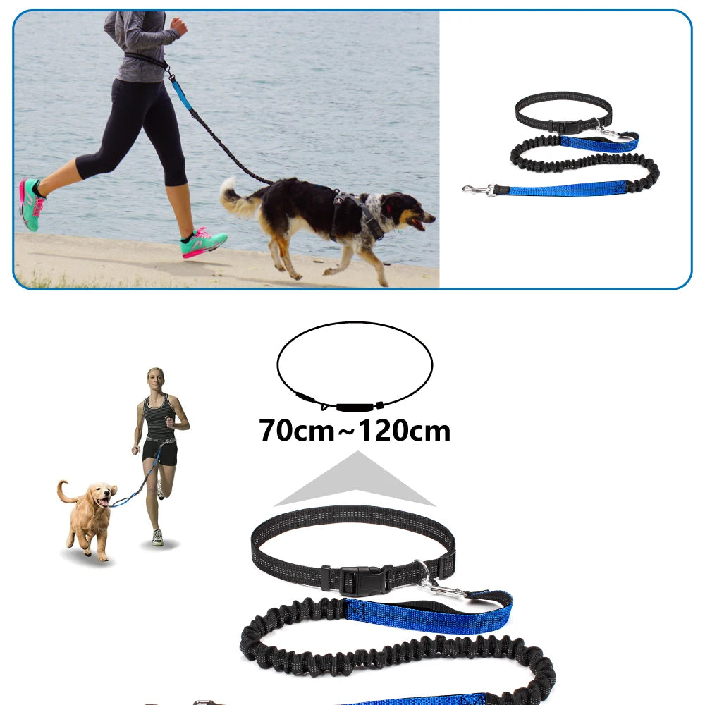 Hands-Free Running Dog Leash with Waist Belt