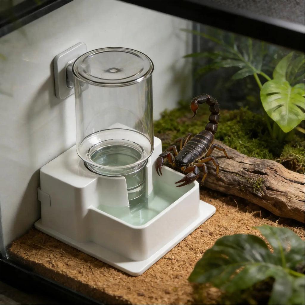 Detachable Reptile Water & Feeding Dish — Compact ABS Bowl for Tanks