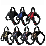 Adjustable Dog Harness & 150cm Leash Set — Reflective Design