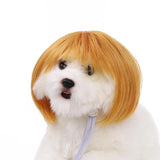 Spoof Wig for Dogs & Cats (Pet Christmas Costume Accessory)