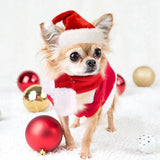 Christmas Pet Costume Set (Santa Hat & Scarf, Adjustable)