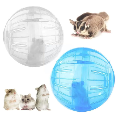 Hamster Exercise Ball — Clear 10cm Running Ball for Safe Free-Roam Play