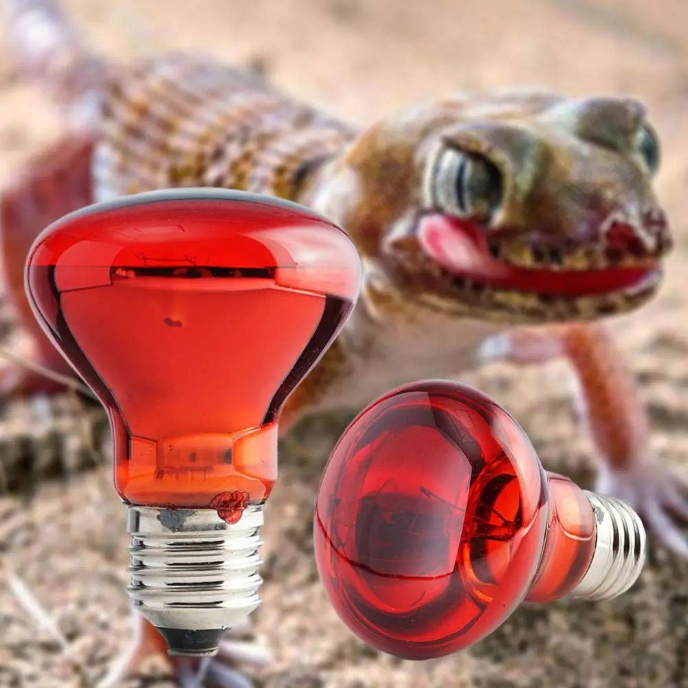 E27 Infrared Reptile & Poultry Heat Bulb — 25W-100W, Lightweight Design