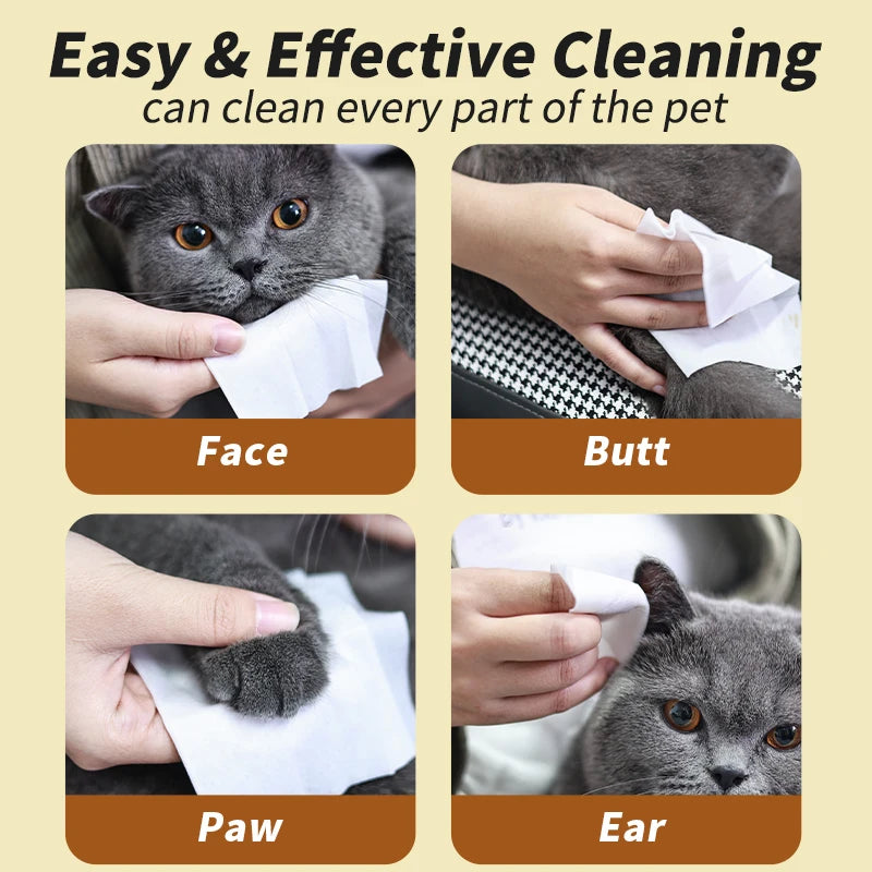 Pure Water Pet Wipes — Single-Use Deodorizing Wipes, 10-Count