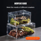 Acrylic Nano Terrarium — Ventilated Enclosure for Tarantulas & Small Reptiles