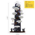 Floor-to-Ceiling Cat Tree with Jumping Platforms