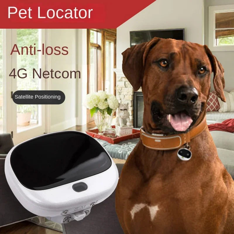 RF-V43 4G LTE Waterproof GPS Pet Tracker with Real-Time Location