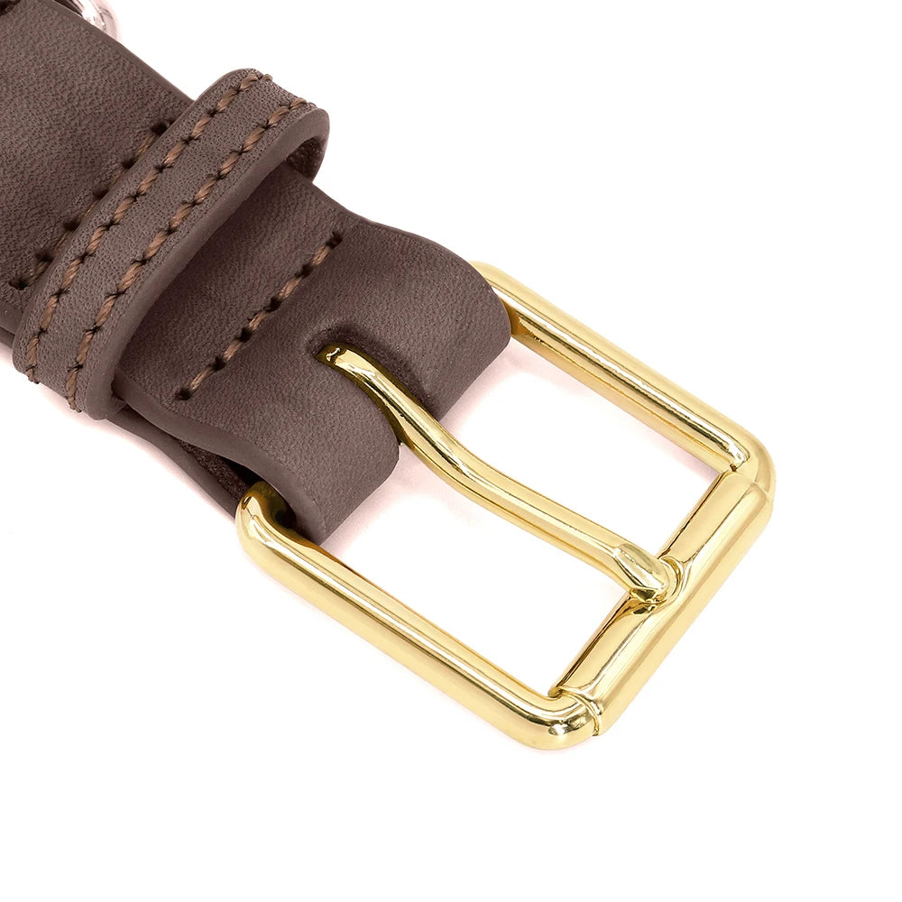 Custom Engraved Leather Dog Collar