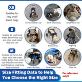 Dog Wheelchair Disabled Cat Dog Rehabilitation Walking Aid Pushchair Power Assisted Vehicle Cat Mobility Scooter Pet Supplies
